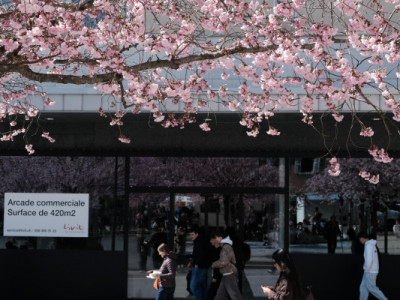 Optez pour le centre-ville image 6