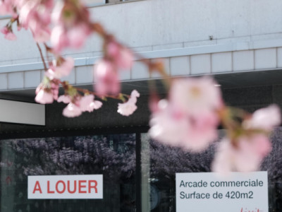 Optez pour le centre-ville image 11