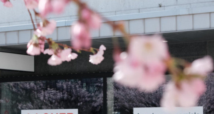 Optez pour le centre-ville image 11