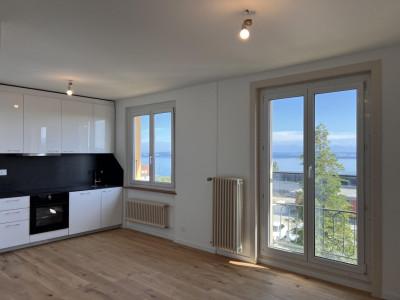 Lumineux appartement avec vue panoramique sur le lac & les Alpes image 1