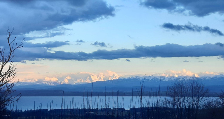 Êtes-vous en quête de calme, de verdure et dune magnifique vue ? image 8