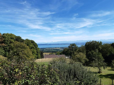 Magnifique parcelle constructible de 3383 m² avec vue image 1