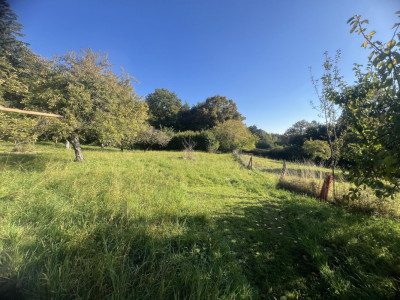 Magnifique parcelle constructible de 3383 m² avec vue image 3