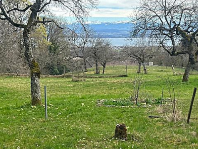 Magnifique parcelle constructible de 3383 m² avec vue image 4