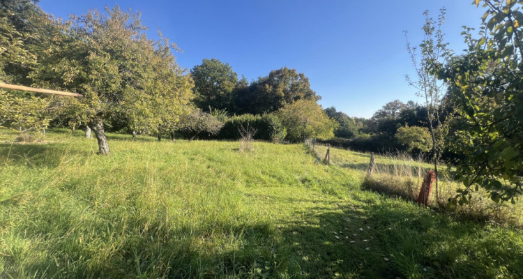 Magnifique parcelle constructible de 3383 m² avec vue image 3