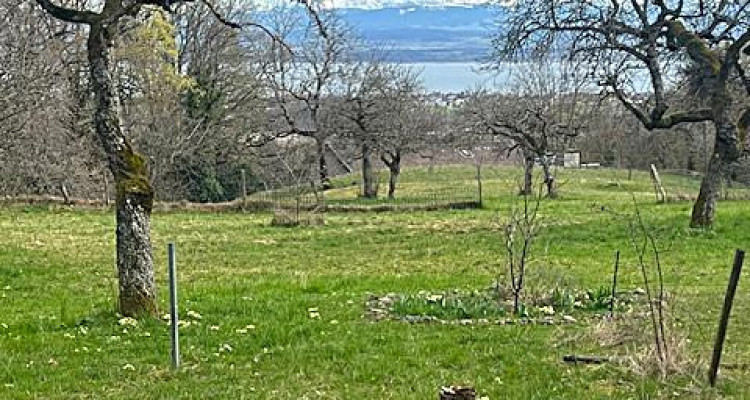 Magnifique parcelle constructible de 3383 m² avec vue image 4