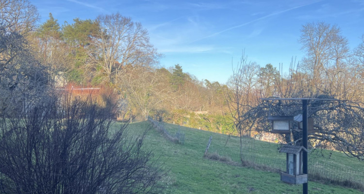 Magnifique parcelle constructible de 3383 m² avec vue image 5