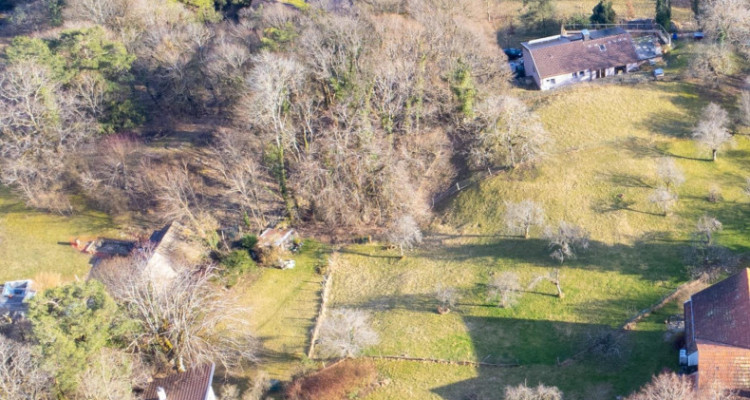 Magnifique parcelle constructible de 3383 m² avec vue image 6