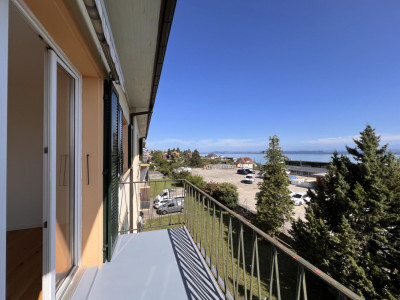 Appartement lumineux avec balcon - vue sur le lac et les Alpes image 3
