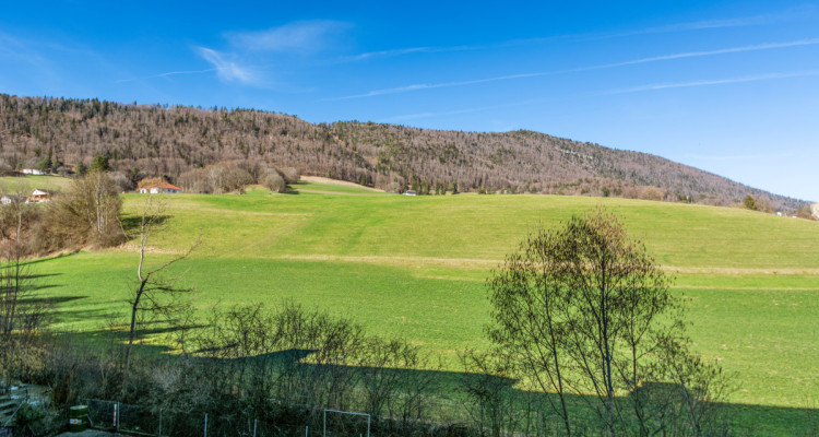 URGENT ! Coup de Cœur à Perrefitte : Modernité et Sérénité aux Portes de Moutier image 4