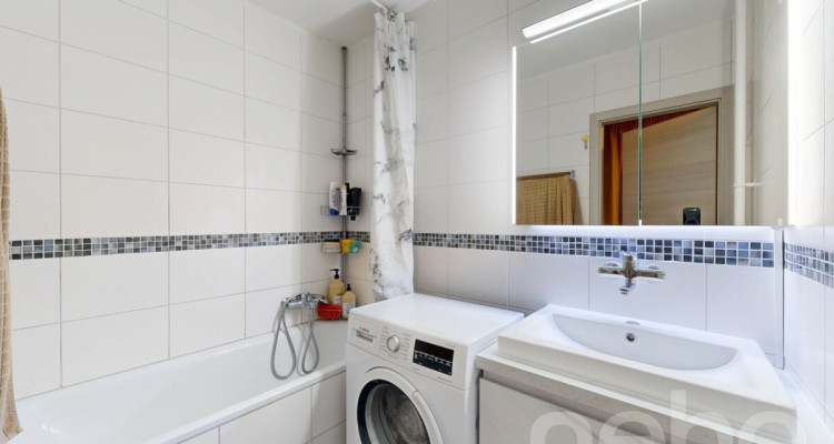 Apartement 3,5p rénové avec vue lac proche gare image 9