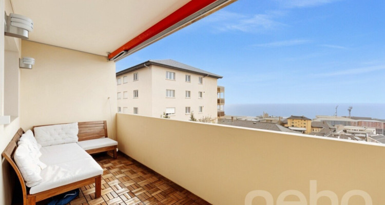 Apartement 3,5p rénové avec vue lac proche gare image 1