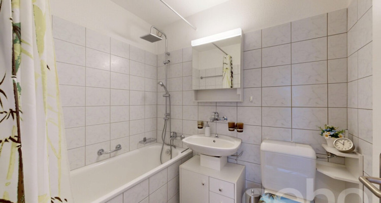 Praktische Wohnung an zentraler Wohnlage in Horgen image 9