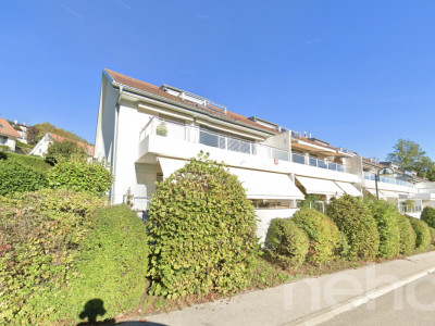 Face à un verger et la forêt image 1