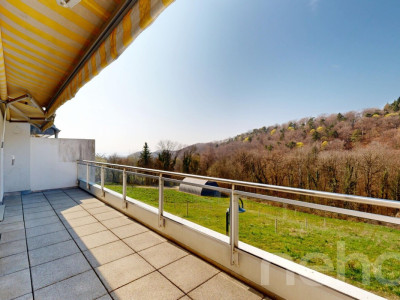 Face à un verger et la forêt image 4