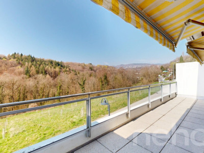 Face à un verger et la forêt image 5