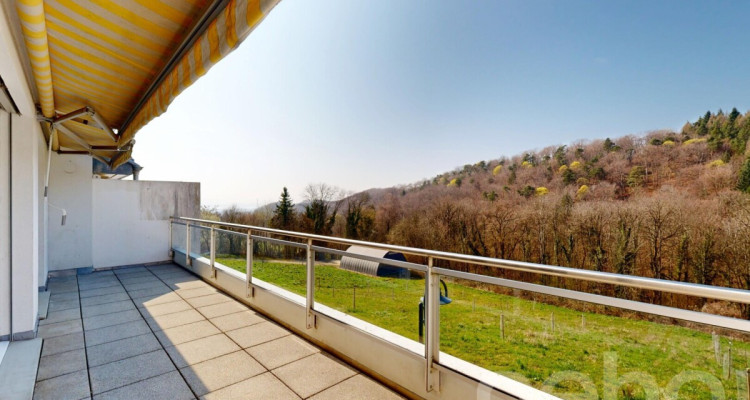 Face à un verger et la forêt image 4