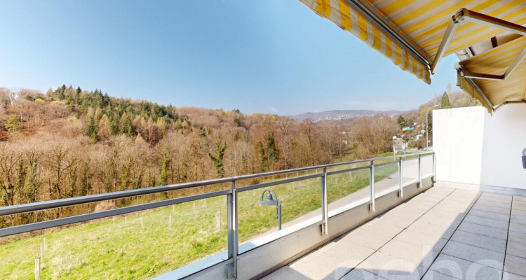 Face à un verger et la forêt image 5