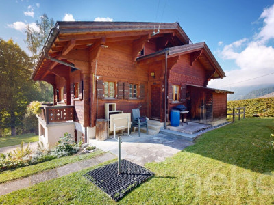 Exclusif: Magnifique chalet de 4 chambres avec grand jardin image 10