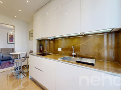 Bel appartement rénové de 4,5 pces avec vue sur le lac à Lausanne image 5