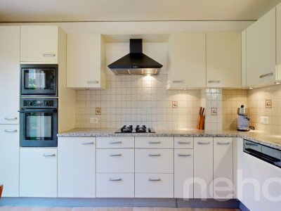 Villa mitoyenne avec vue dégagée sur les Alpes et le lac image 8