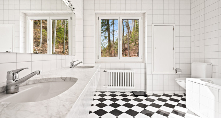 Panorama, Diskretion und Freiraum ? Haus in Walenstadtberg image 10