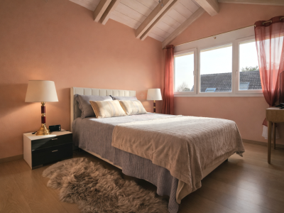 Superbe maison individuelle lumineuse avec jardin arboré, jacuzzi et double garage image 8