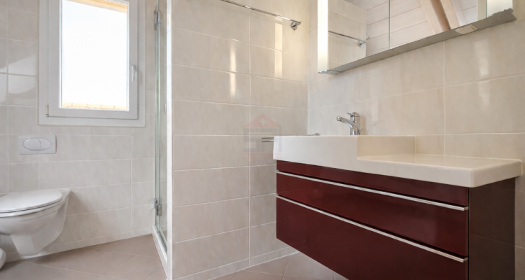 Superbe maison individuelle lumineuse avec jardin arboré, jacuzzi et double garage image 12