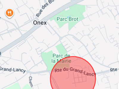 Spacieux 5 pièces lumineux à Onex image 1