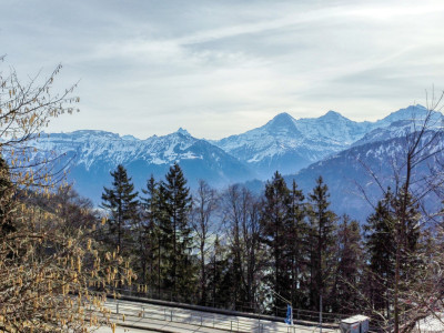 Wunderschöne Baulandparzelle mit Sicht auf Eiger, Mönch und Jungfrau image 3
