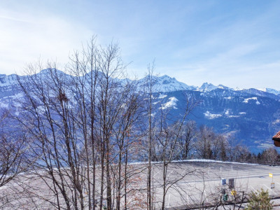Wunderschöne Baulandparzelle mit Sicht auf Eiger, Mönch und Jungfrau image 4