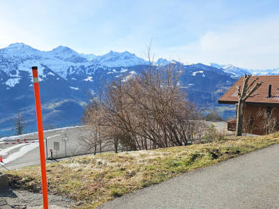 Wunderschöne Baulandparzelle mit Sicht auf Eiger, Mönch und Jungfrau image 5