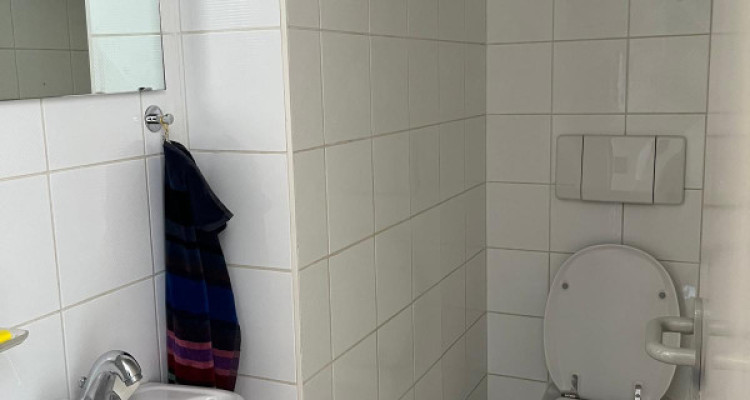 Appartement 5 pièces Duplex situé à Plainpalais  image 6