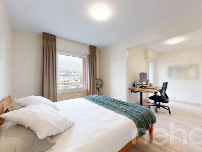 Lausanne ? Montelly : Attique traversant baigné de lumière image 7