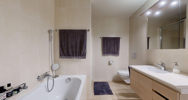 Lausanne ? Montelly : Attique traversant baigné de lumière image 11