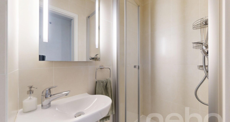 Lausanne ? Montelly : Attique traversant baigné de lumière image 12