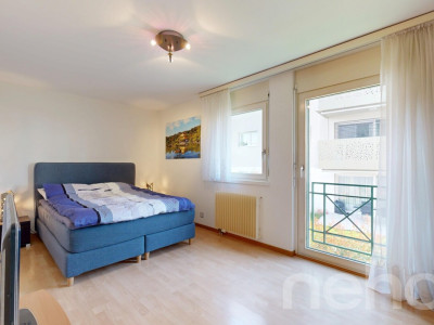 Grand appartement lumineux, calme absolu, entre lac et autoroute image 9