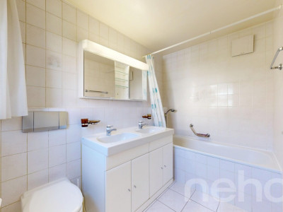 Grand appartement lumineux, calme absolu, entre lac et autoroute image 12