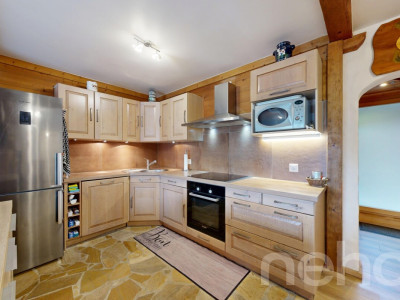 Rez de jardin 4 pièces avec jardin privatif au pied des pistes image 3