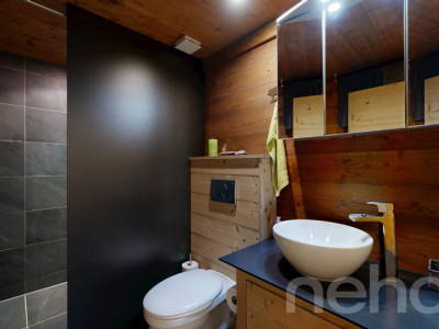 Rez de jardin 4 pièces avec jardin privatif au pied des pistes image 5