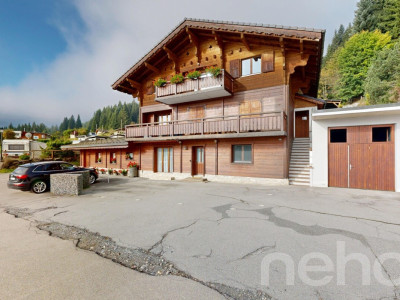 Rez de jardin 4 pièces avec jardin privatif au pied des pistes image 11