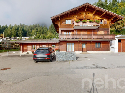 Rez de jardin 4 pièces avec jardin privatif au pied des pistes image 12