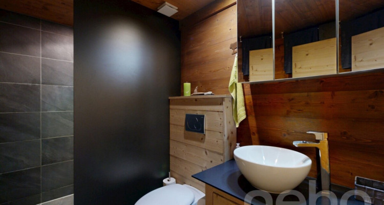 Rez de jardin 4 pièces avec jardin privatif au pied des pistes image 5