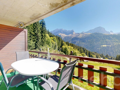Gryon - Appartement 2 chambres - Vue sur les Muverans et Dents du Midi image 12