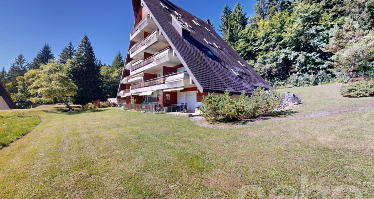 Gryon - Appartement 2 chambres - Vue sur les Muverans et Dents du Midi image 1