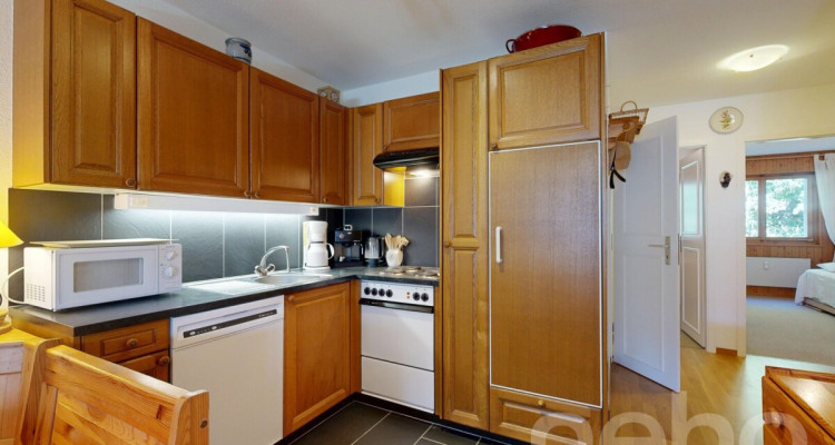 Gryon - Appartement 2 chambres - Vue sur les Muverans et Dents du Midi image 2