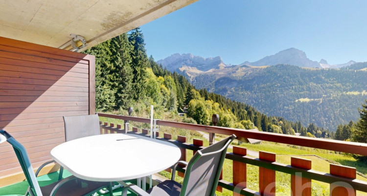 Gryon - Appartement 2 chambres - Vue sur les Muverans et Dents du Midi image 12