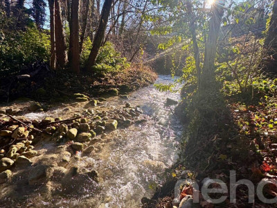 Maison mitoyenne au centre du village avec vue sur la forêt image 1