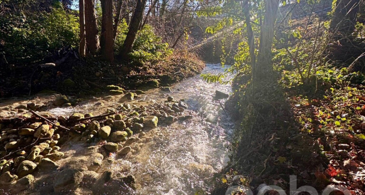 Maison mitoyenne au centre du village avec vue sur la forêt image 1