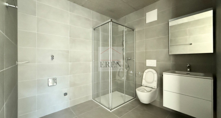 Magnifique Attique 4,5 neuf avec vue panoramique et terrasse de 55 m2 sud-est image 12